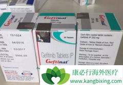 ����ɳ(GEFITINIB)�Ͱ���������Ե�EGFTRͻ�������в���