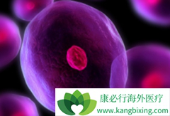 ����ҩ����³����(IBRUTINIB)���ƺ����ܰ���Ч������