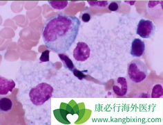 ÿ��һ���ϼ�����³����(EMLUTINI)�Ϳɸ��ƻ��ߵ���������