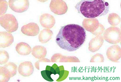 ��³����(IBRUTINIB)��ʹMZL���ߵ���λ�޽�չ�����ڴﵽ14.2����