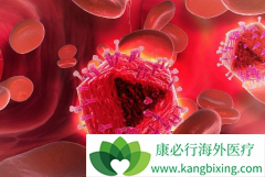 ��Щ���߲���ʹ�����޻�/����������ע��Һ