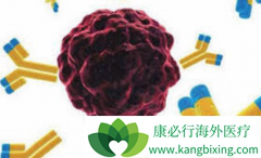 ���޻�/��������������ѪС�����ʱ���÷�������������