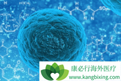 ���޻�(Rituximab)ά�����������������������ܰ������ߵ�OS