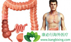 ��������/ϣ�޴����Ϊֱ������ǰͬ���Ż��Ƶı�׼���Ʒ���