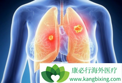 ����������ҩ�����ɫ������(Ceritinib)����Ч����ס������չ