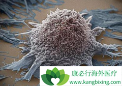 ��������(Cometriq)����RET�ںϷ�Сϸ���ΰ�Ч����ô��