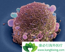 ��������/��̹�Է��ٰ�������Ч�����緲������