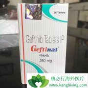 ӡ������ɳ/��������ĳɷ�����Ч��ԭ��ҩ��������