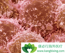 ��������(Apatinib)500mg�������Ʒ�Сϸ���ΰ������ô���