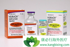 CTLA-4�����PD-1������ʲô����ʲô��CTLA-4���壿