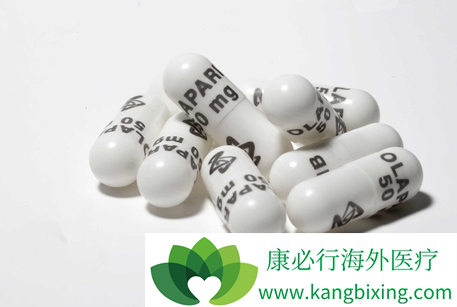 PARP抑制剂 PARP抑制剂