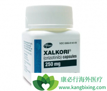 �������ᣨCrizotinib���ǵ�һ��ALK����ҩ��