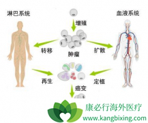 ����ϸ���������ܽ��ۺ������������