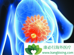 �������ٰ������ں���͡(Herceptin)�����ڼ䲻��Ƶ�����LVEF