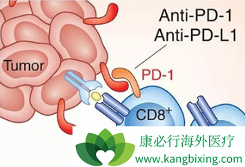 PD-1