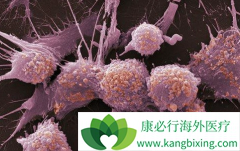 PD-1ҩ��Pembrolizumab����Ч����ǰ���ٰ�������չ