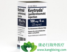 ����ҩ���ַ�������PD-1����Keytruda����������������������