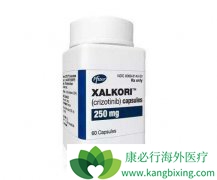 ���������(Xalkori)��Ȱ�����������ALK���Էΰ���ȫ�Ժ������Ը���