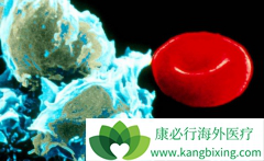 ��ɳ����(Dasatinib)�ɴ���Ѫ������Ԥ��������ϵͳ��Ѫ��