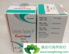 ���ڷΰ�������������������(GEFITINIB)���ƻ���ȱ�׼�Ʒ���