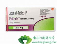 ���ٰ�����ҩ��������(TYKERB)Ϊ�ε�ҩ����Ч��Զ����������ҩ��