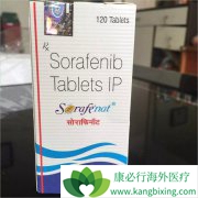 ���ڸΰ�������ǰ�ص�ҩ��༪��/�����������κ�B�ڸΰ���