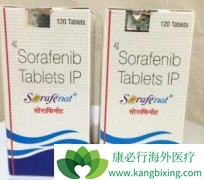 �������ڸΰ�֢״�ö༪��/�����������ܾ��ܿ���Ч��