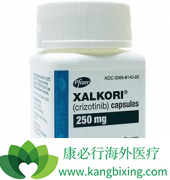 �Կ�������(Crizotinib)/�˴����������Ч���ߵ���������С�ܶ�