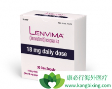 �ΰ�����ӭ���ڶ����������ҩ���ط�����/�ַ�������ڻ���