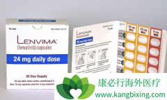 �ո����й����еĸΰ�����ҩ��������/�ط�������Ժ�PD1������