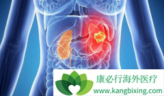 ���߷��ð�������/Ӣ�����������Ҫ������