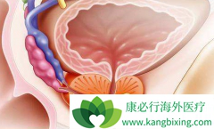 �и��𺦵�ǰ���ٰ�������Ҫ�����ȿ�³����ʿ�õļ�����