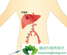 ��ֵ�͸ΰ�/�ΰ���ϸ����ֳ��������ص��ź�ͨ·����Ϊ��Ҫ����