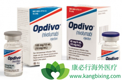 �ΰ�PD-1����ҩ��Opdivo���й��ļ۸���������һ��