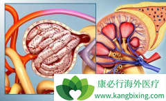 ��������Ӧ�����ȷ�Դ���������/��̹�����ڼ��Ѫѹ����