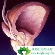 ��������(Zytiga)��������������������Ƶֿ���ǰ���ٰ�������