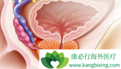 ����/���������ڳ���ת�Ƶֿ���ǰ���ٰ�����������Խ��