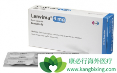 ʮ�����¸ΰ�����ҩ���ط�����/�����꣨Lenvima�����й���������