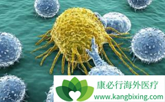 PD-1�������Ƶĳ����ð�֢���Ʋ���������������