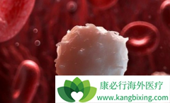 ����������Ѫ������ҩ���������Ӧ֢������Щ