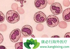 �����ͽ�����������(Imatinib)������׼����Ӧ֢�ǲ�ͬ��