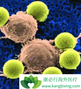 ������(Imatinib)�����ڼ仼��Ҫ���Ӳ�����Ӧ���������̶ܳ�