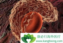 ��Ѫ��ҩ���ɳ����/ʩ����һƿ����Ǯ