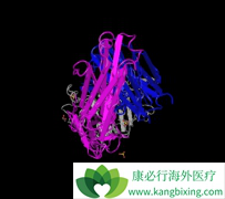 ���ᵥ��(Panitumumab)�ڶ���ʵ�����о��ж���ʾ�������õ�������