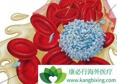 �������߷��ô�ϣ��/��������3����ͣҩ�������