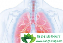 ŷ����(nivolumab)/���䵥��ʹ���ַΰ�����ʵ���˳�������