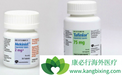 ��������/��������������������������BRAFͻ��ı�׼�Ʒ�