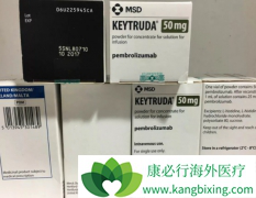 Ƥ��������Ӧ��Ԥ��PD-1ҩ����ķ����(Keytruda)����Ч