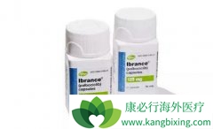 ��������(Palbociclib)ҩ�û���������