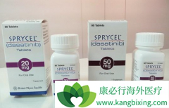 ��ɳ����/ʩ������Sprycel�����ƶ�ͯ������ϸ����Ѫ��Ч�����